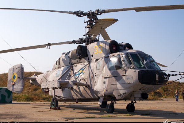 Кракен маркетплейс что это ветеринарная помощь