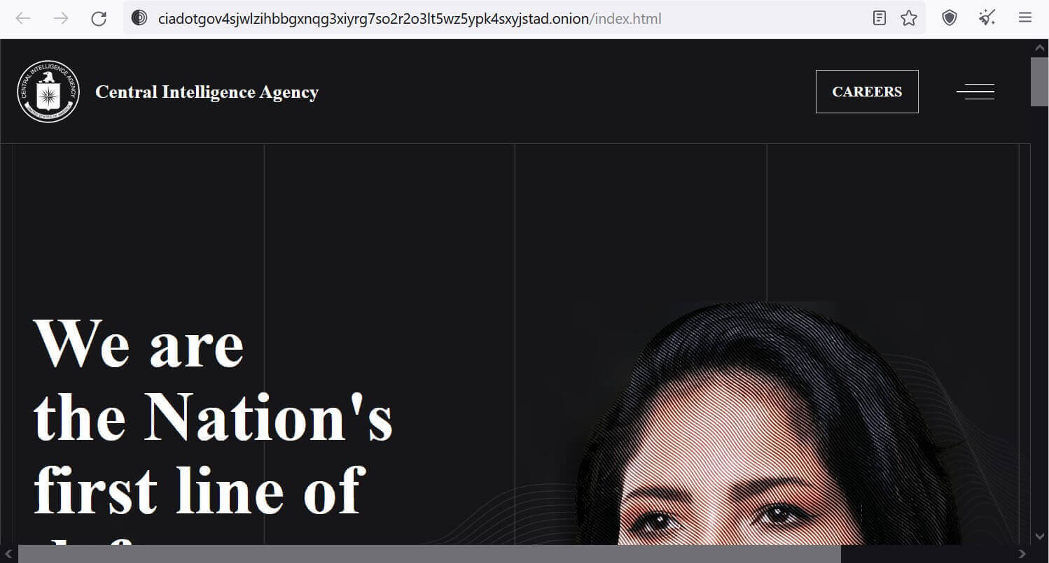 Рабочий кракен лечение собак