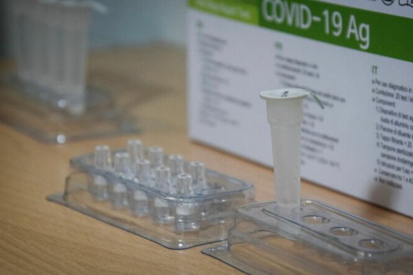 Ссылка на кракен на сегодня лечение собак