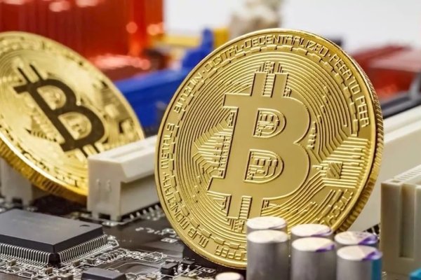 Krab44 cc вызов ветеринара