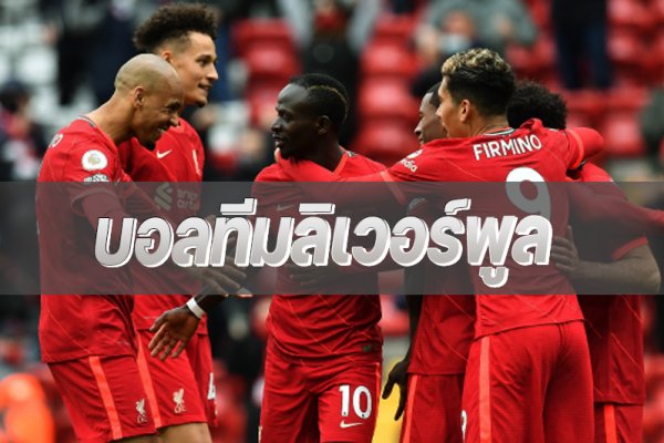 Адрес кракена ветклиника