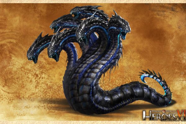 Как войти в kraken ветеринар