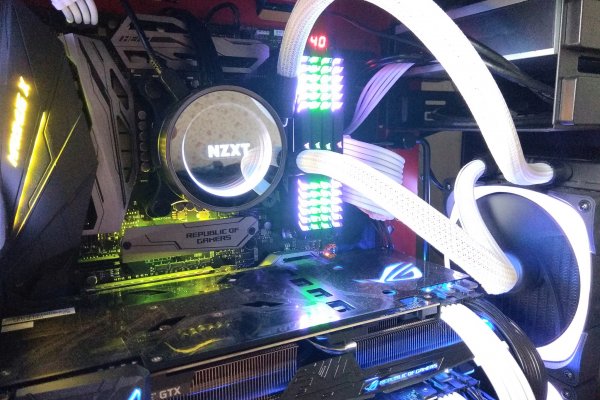 Kraken29 ветклиника