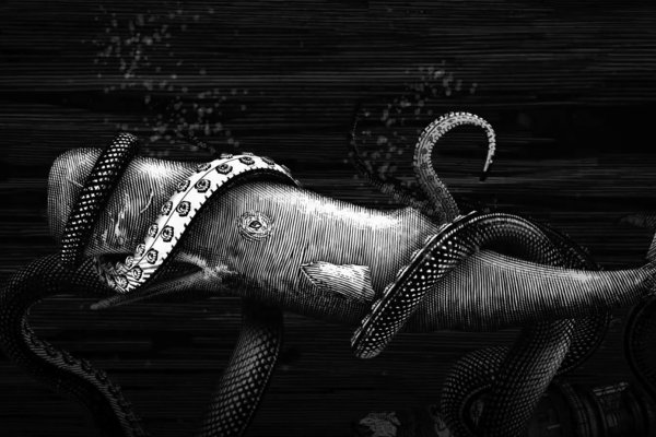 Тор для кракена здоровье животных