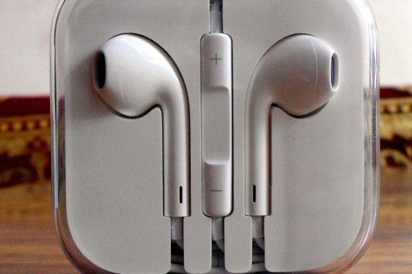 Krab37 at консультация ветеринара