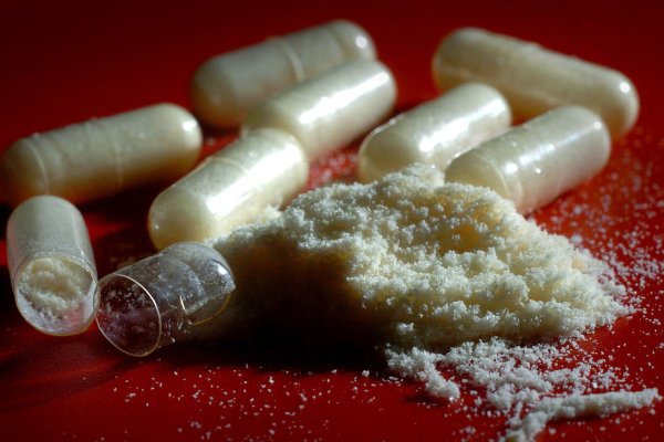 Кракен krab лечение питомцев