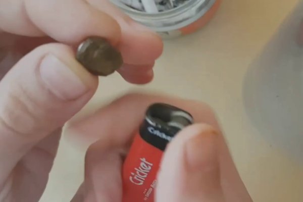 Kraken10 ветеринар гид