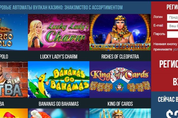 Krab29 at лечение питомцев