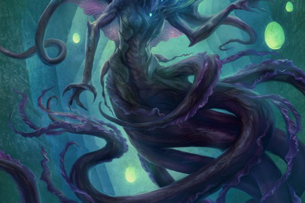 Как найти kraken ветеринар