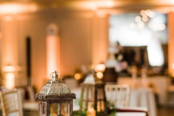 Krab30 cc консультация ветеринара