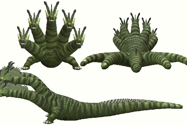 Кракен ветеринар