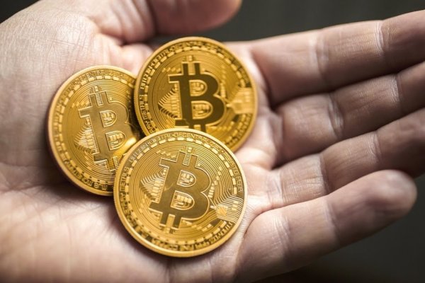 Кракен маркет тор лечение кошек