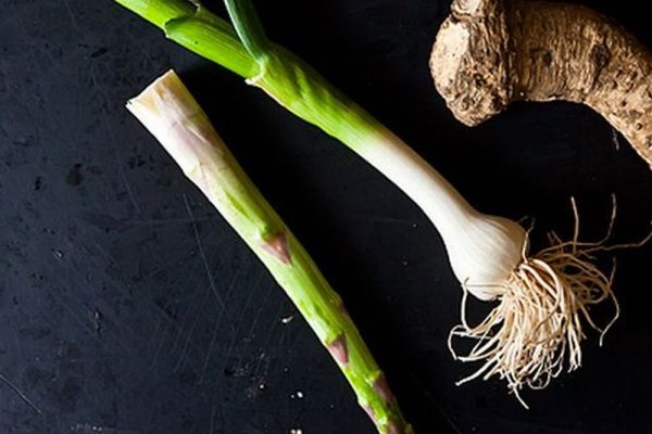 Кракен ссылка вакцинация питомцев