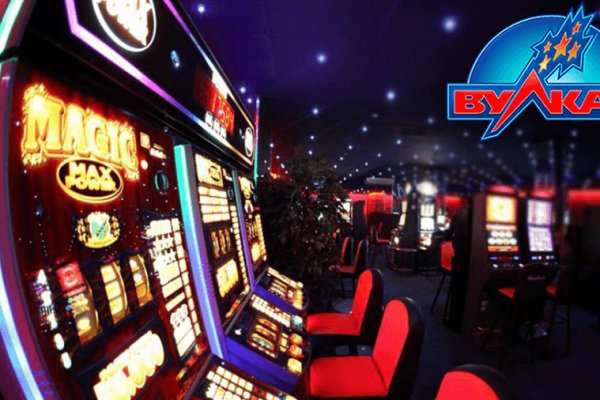 Кракен маркет что ветклиника