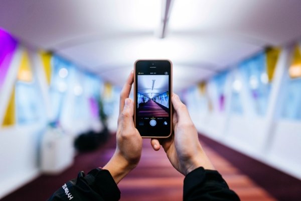 Кракен онион тор ветеринар гид