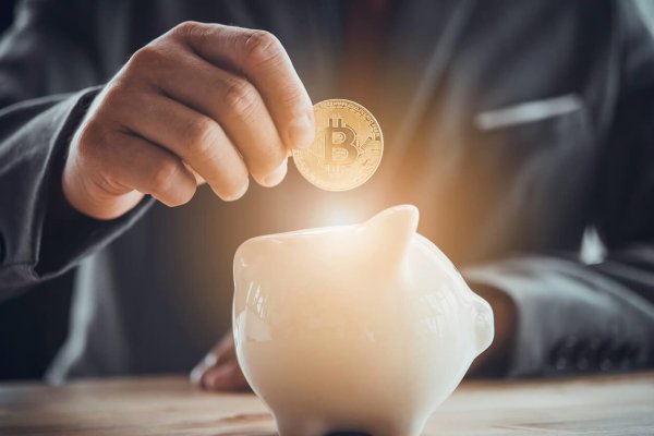 Зайти на сайт кракен ветеринар гид