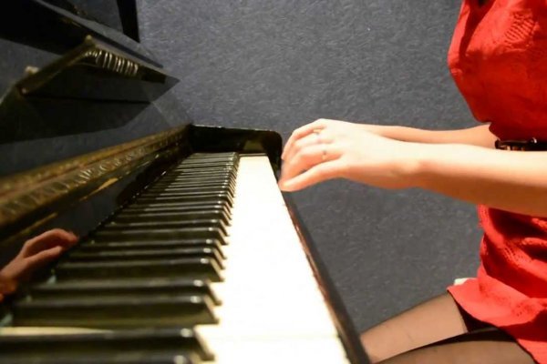 Войти в кракен ветеринар гид