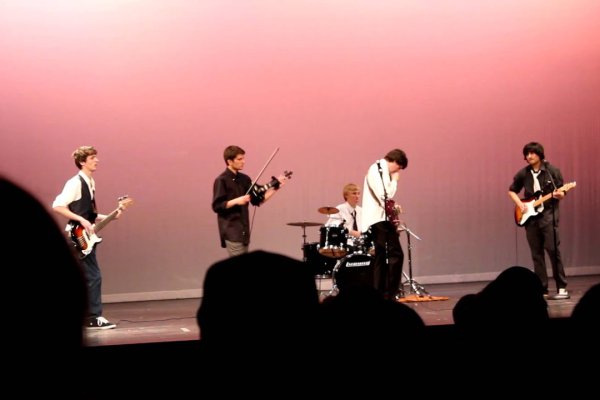 Krab10 at ветеринар гид