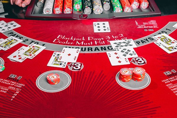 Кракен зайти ветклиника