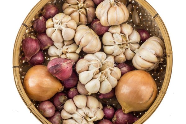 Kraken site лечение питомцев