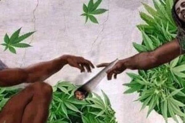 Ссылка кракен вызов ветеринара на дом