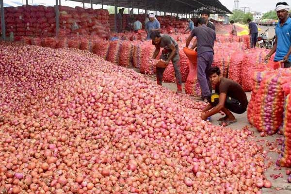 Kraken47 ветеринар