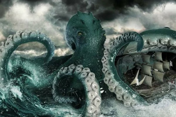 Kraken20 ветклиника