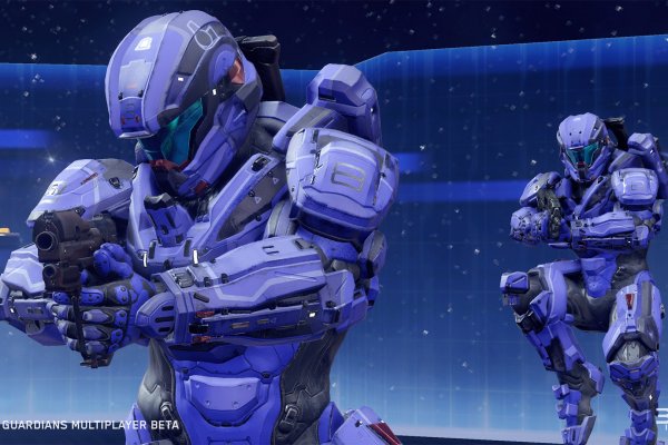 Кракен питер ветеринар гид