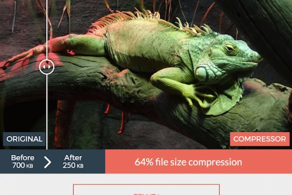 Kraken площадка лечение питомцев