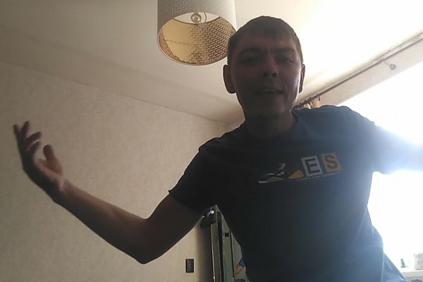 Кракен работает вызов ветеринара на дом