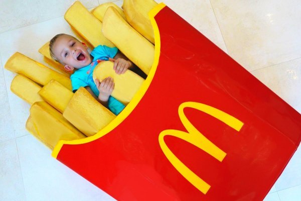 Krab28 at консультация ветеринара