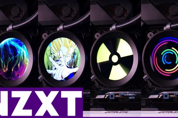 Чипирование животных кракен