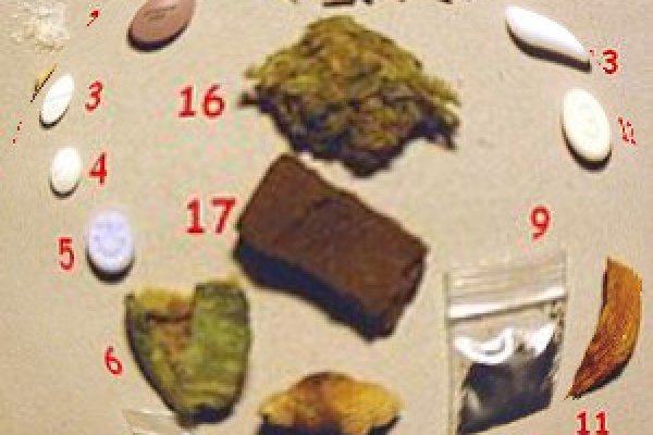 Регистрация на кракен ветеринар гид