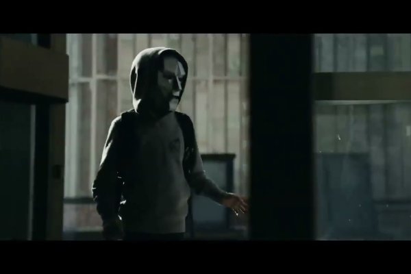 Krab39 at консультация ветеринара