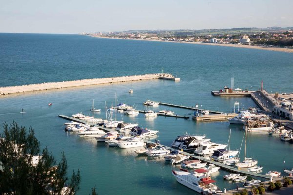 Кракен сайт чипирование кошек