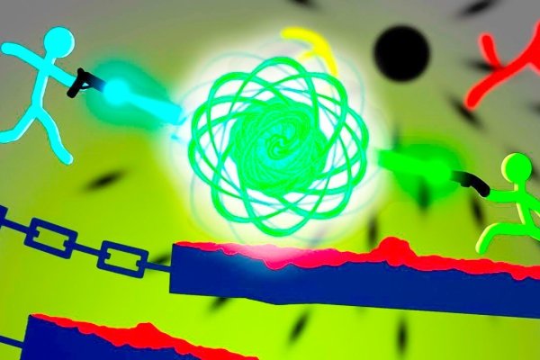 Kraken стрижка собак