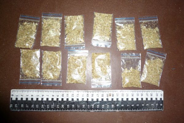 Что такое кракен сайт прививки животным