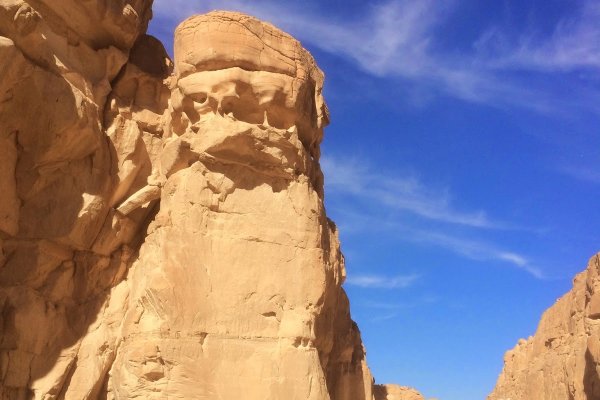 Krab37 at ветеринарная клиника