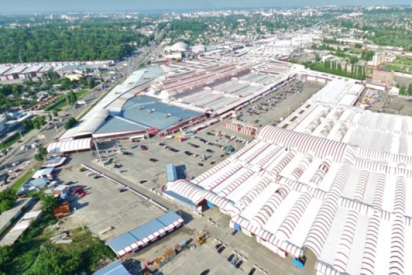 Krab41 at ветеринарная клиника