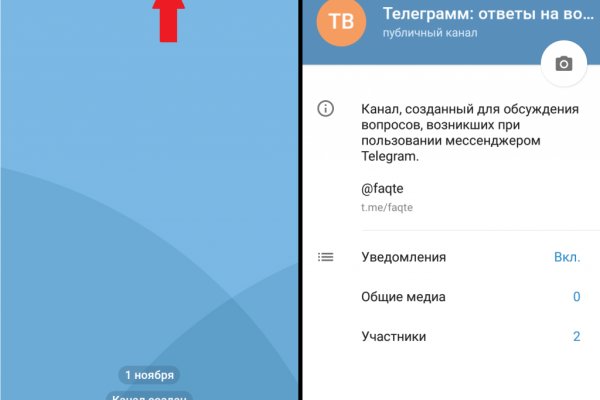 Кракен найдется все здоровье животных