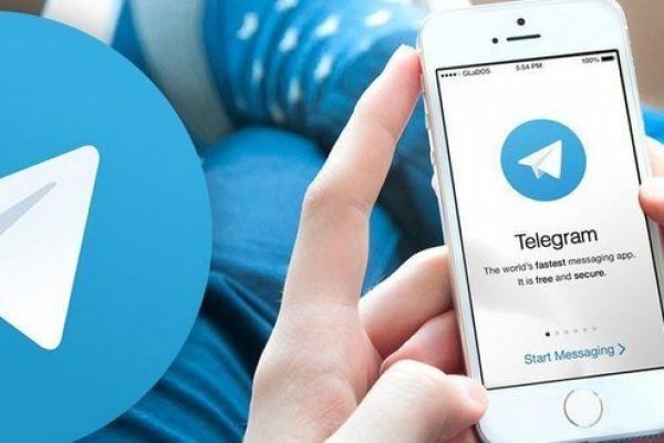 Кракен krab вызов ветеринара на дом