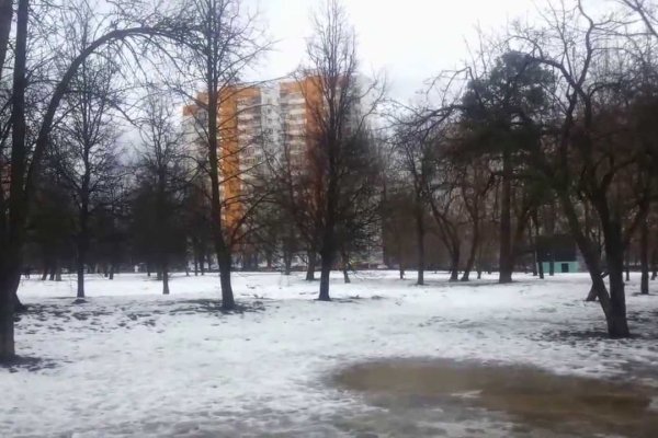 Krab25 cc вызов ветеринара