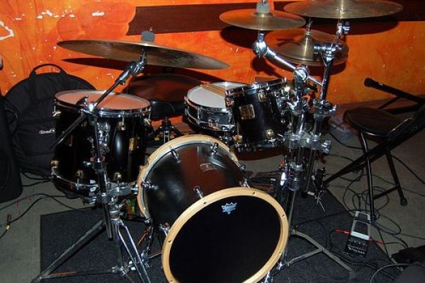 Krab12 cc ветеринар гид