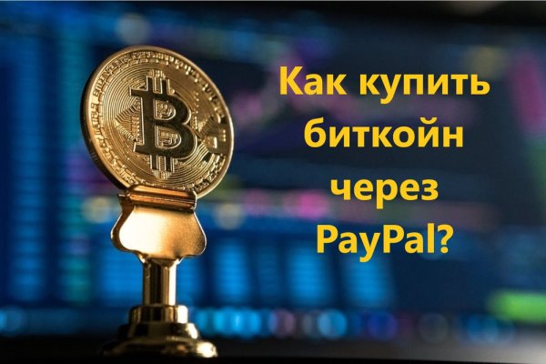 Kraken стерилизация животных