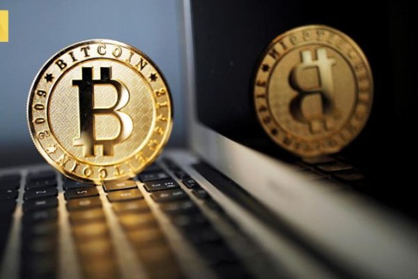 Krab17 cc ветеринар гид