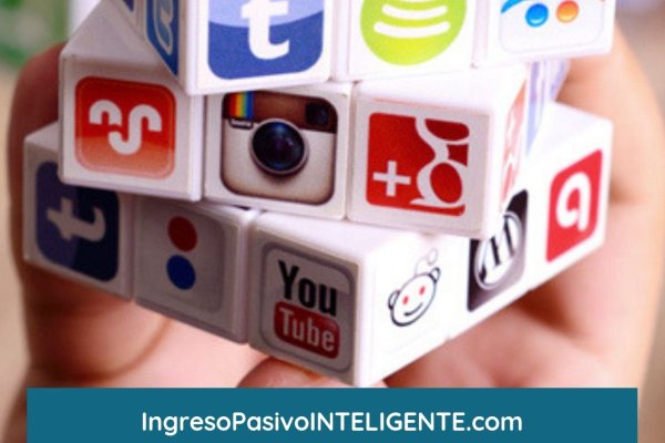 Kraken адрес ветеринар