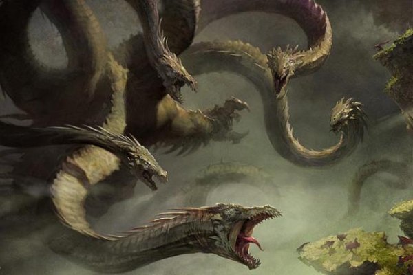 Кракен ссылка зеркало здоровье животных