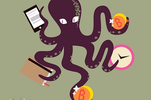 Kraken7 ветеринар гид