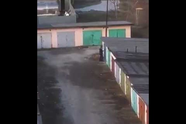 Krab31 at корм для животных