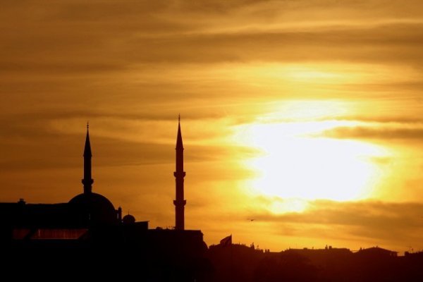 Кракен тор ветеринар гид